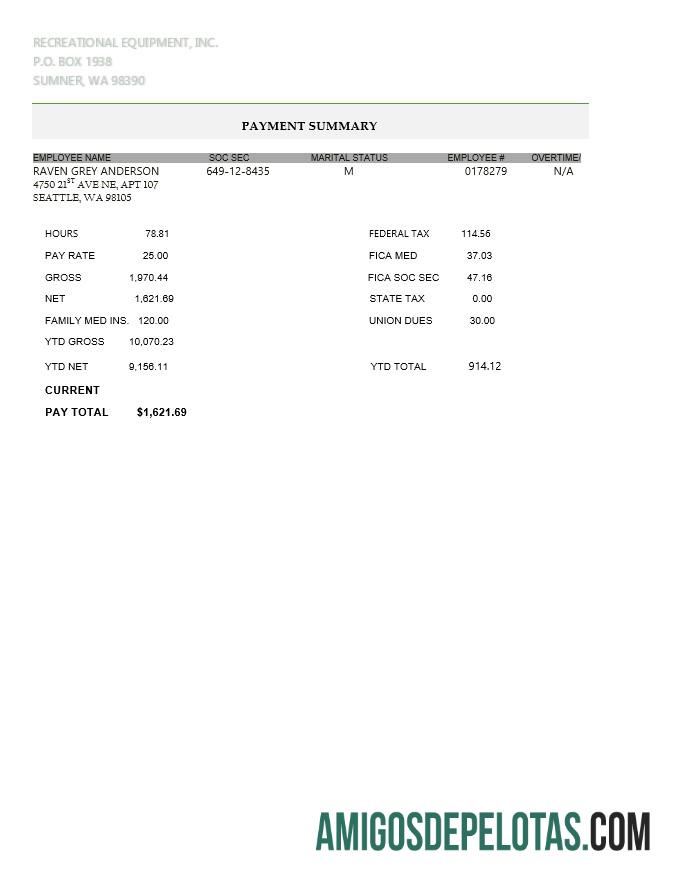 Recreational Equipment LLC contracheque em formato PDF e WORD exemplo real